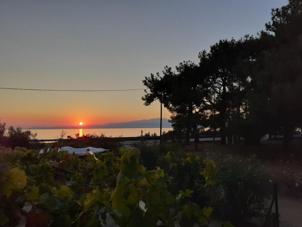 Το Σπίτι Με Το Πηγάδι - Wellcottage Thassos Skála Kallirákhis Екстериор снимка