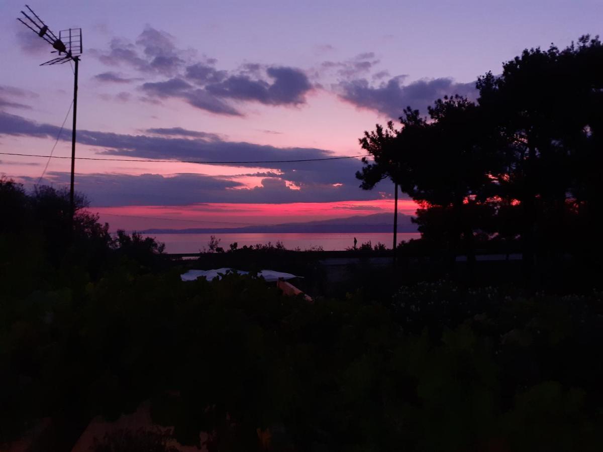 Το Σπίτι Με Το Πηγάδι - Wellcottage Thassos Skála Kallirákhis Екстериор снимка