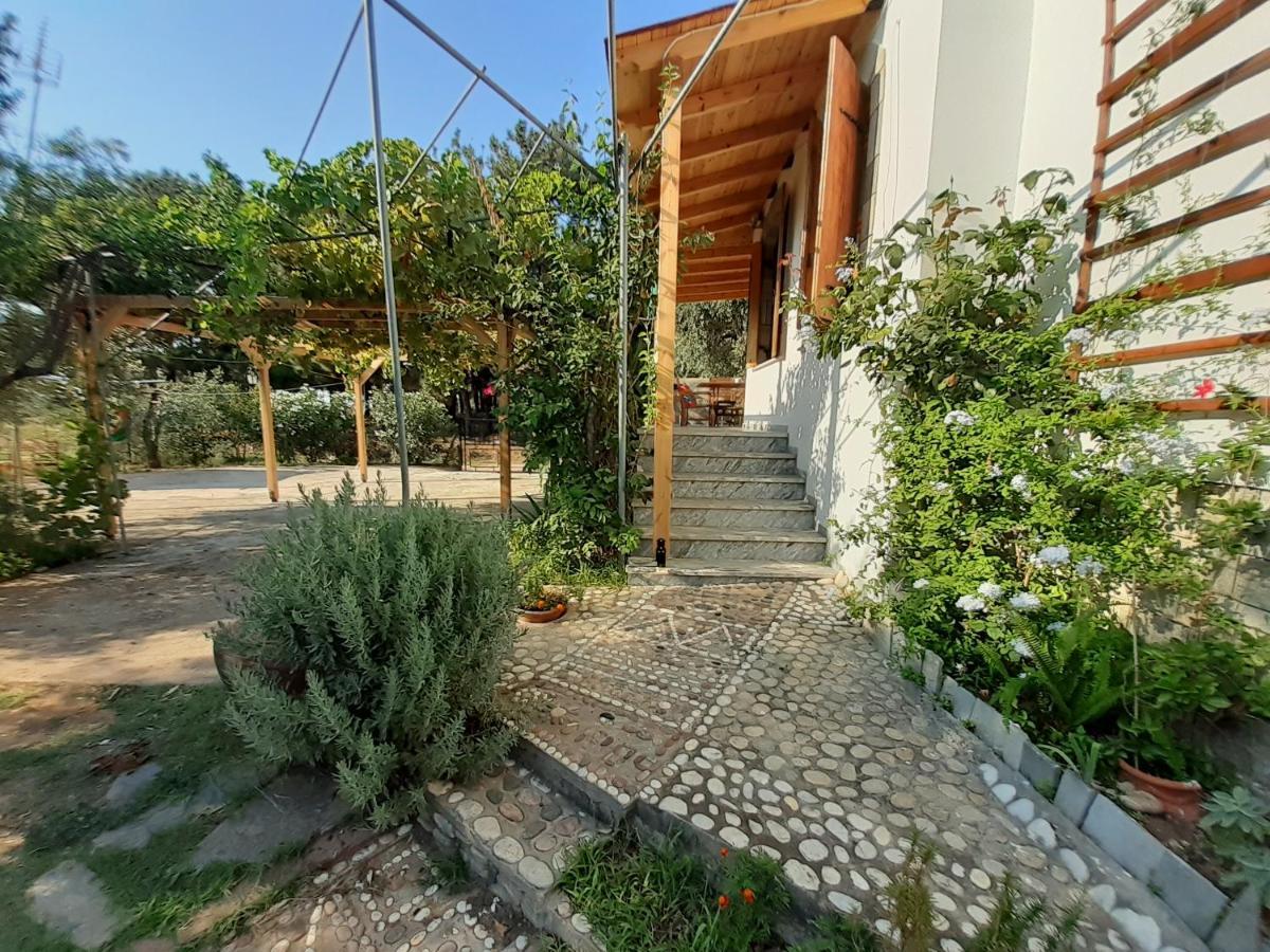 Το Σπίτι Με Το Πηγάδι - Wellcottage Thassos Skála Kallirákhis Екстериор снимка
