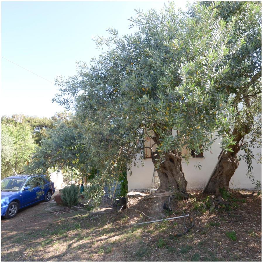 Το Σπίτι Με Το Πηγάδι - Wellcottage Thassos Skála Kallirákhis Екстериор снимка