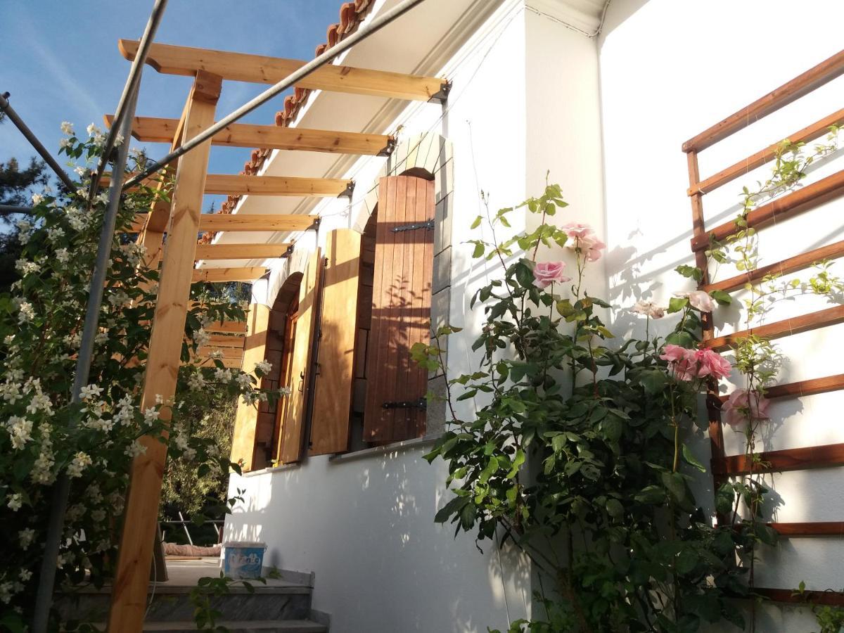 Το Σπίτι Με Το Πηγάδι - Wellcottage Thassos Skála Kallirákhis Екстериор снимка
